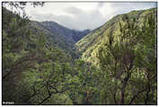 Queimadas - Levada do Caldeirão Verde