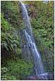 Queimadas - Levada do Caldeirão Verde