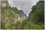 Queimadas - Levada do Caldeirão Verde