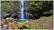 Queimadas - Levada do Caldeirão Verde