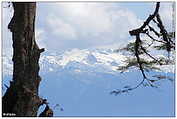 Bhutan, Dochula Pass (c) ulf laube