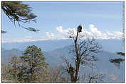 Bhutan, Dochula Pass (c) ulf laube