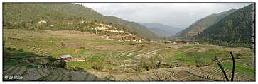 Bhutan, Punakha (c) ulf laube