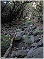 Barranco Rey Magdaletin, La Caldera del Agua, La Zarza (c) ulf laube