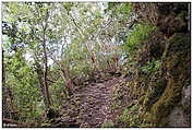 Barranco de la Galga (c) ulf laube