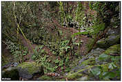 Barranco Rey Magdaletin, La Caldera del Agua, La Zarza (c) ulf laube