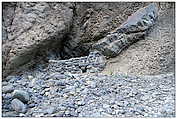 Barranco de Las Angustias - Schlucht der Ängste (c) ulf laube