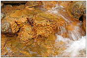 Barranco de Las Angustias - Schlucht der Ängste (c) ulf laube