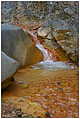 Barranco de Las Angustias - Schlucht der Ängste (c) ulf laube