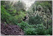 Barranco de la Madera (c) ulf laube