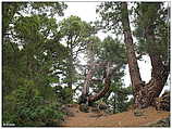 Barranco de la Madera (c) ulf laube