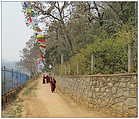 Nepal, Dakshinkali (c) ulf laube