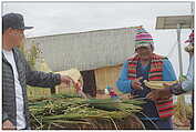 Lago Titicaca / Titiqaqa qucha (c) ulf laube