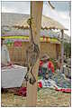 Lago Titicaca / Titiqaqa qucha (c) ulf laube