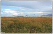 Lago Titicaca / Titiqaqa qucha (c) ulf laube