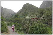 Camino Inka / Inka Trail, part 2 (c) ulf laube