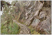 Camino Inka / Inka Trail, part 3 (c) ulf laube