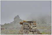 Machu Picchu (c) ulf laube