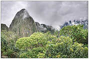 Machu Picchu (c) ulf laube