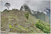 Machu Picchu (c) ulf laube