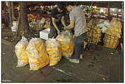 Yodpiman Flower Market - ตลาดยอดพมาน, Pak Khlong Market (c) ulf laube