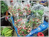 Yodpiman Flower Market - ตลาดยอดพมาน, Pak Khlong Market (c) ulf laube