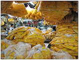 Yodpiman Flower Market - ตลาดยอดพมาน, Pak Khlong Market (c) ulf laube