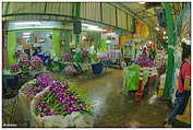 Yodpiman Flower Market - ตลาดยอดพมาน, Pak Khlong Market (c) ulf laube