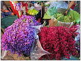 Yodpiman Flower Market - ตลาดยอดพมาน, Pak Khlong Market (c) ulf laube