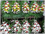 Yodpiman Flower Market - ตลาดยอดพมาน, Pak Khlong Market (c) ulf laube