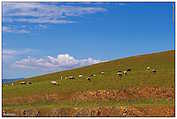 Mongolia - Gorkhi-Terelj National Park