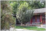 Beijing - Summer Palace / Sommerpalast